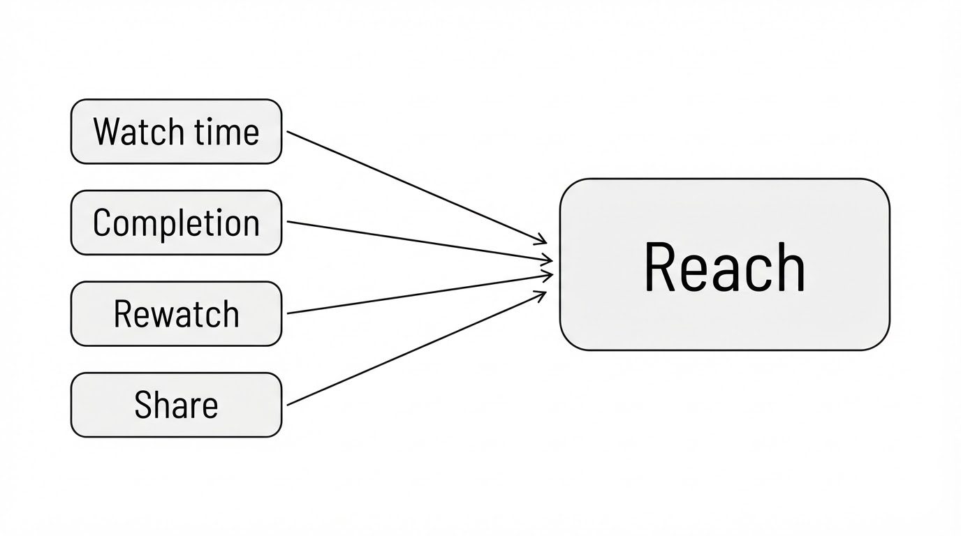 Four signals of watch time, completion, rewatch, and share feeding into reach